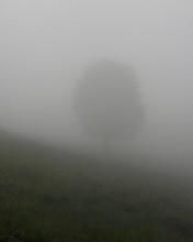 Aicea puteti face dueluri intre clanuri - cum fac sa ma duelez cu cineva..va rog - Dueluri intre clanuri